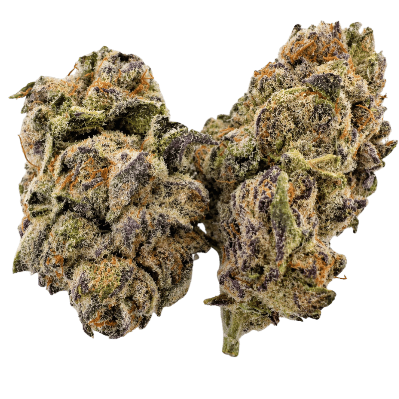 SNOW PURPLE PUNCH — view 2